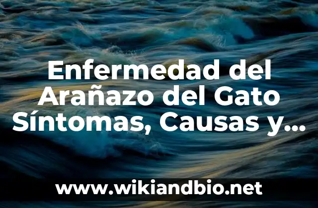 Enfermedad del Arañazo del Gato Síntomas, Causas y Tratamiento
