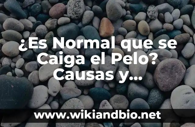 ¿Es Normal que se Caiga el Pelo? Causas y Soluciones para la Pérdida de Cabello