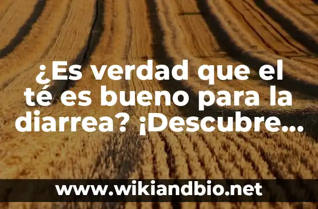 ¿Es verdad que el té es bueno para la diarrea? ¡Descubre los beneficios!