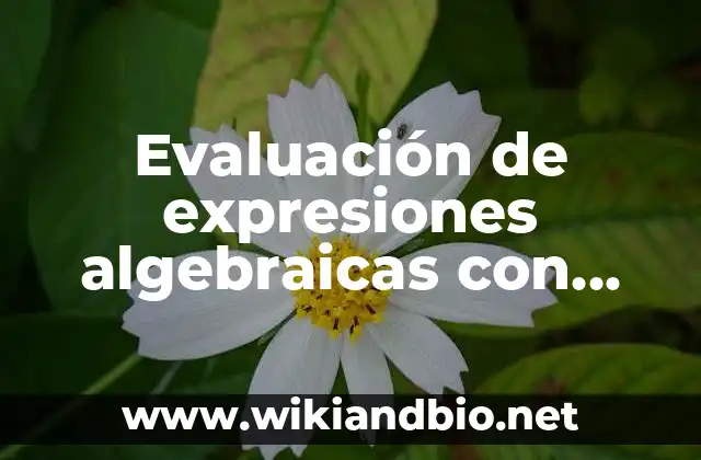 Evaluación de expresiones algebraicas con potencias y raíces: según Autor, Ejemplos, qué es, Concepto y Significado