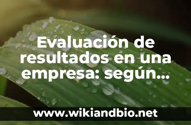 Evaluación de resultados en una empresa: según Autor, Ejemplos, qué es, Concepto y Significado
