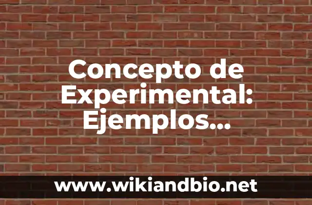 Concepto de Enunciado: Significado, Ejemplos y Usos 6 Concepto de Experimental: Ejemplos, características y usos