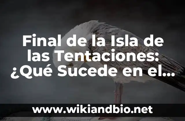 Final de la Isla de las Tentaciones: ¿Qué Sucede en el Último Episodio?