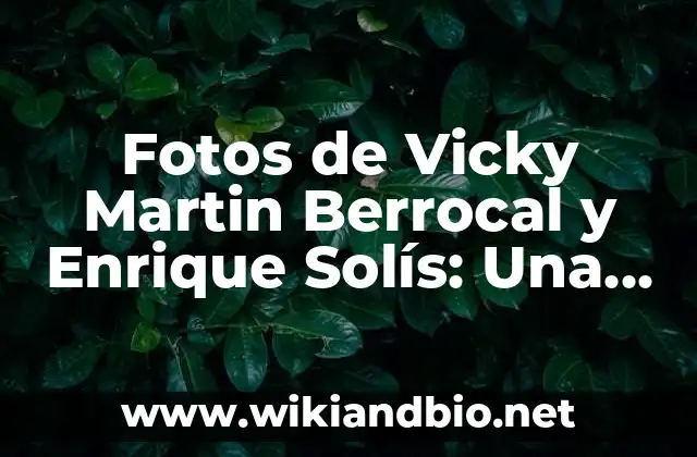 Fotos de Vicky Martin Berrocal y Enrique Solís: Una Mirada al Romance de los Famosos