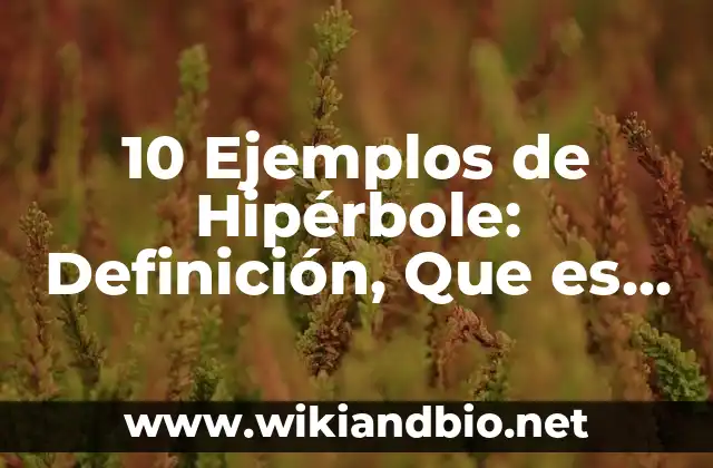10 Ejemplos de Hipérbole: Definición, Que es, Diferencias, Significado y Usos