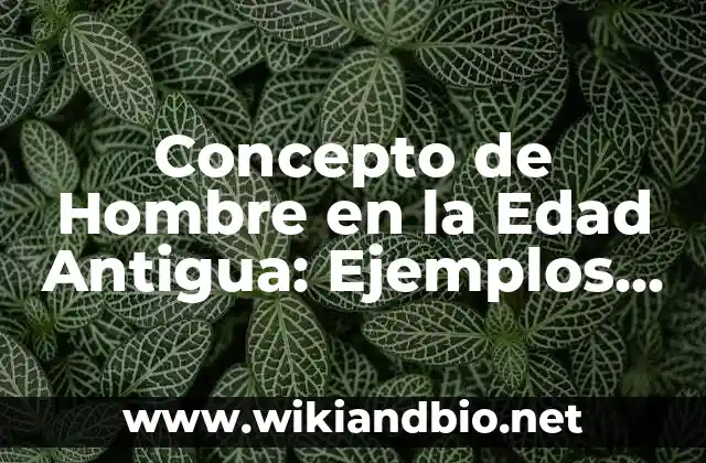 Concepto de Hombre en la Edad Antigua: Ejemplos y Conclusión del tema