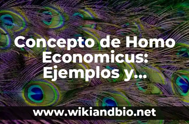 Concepto de Homo Economicus: Ejemplos y Conclusión del tema