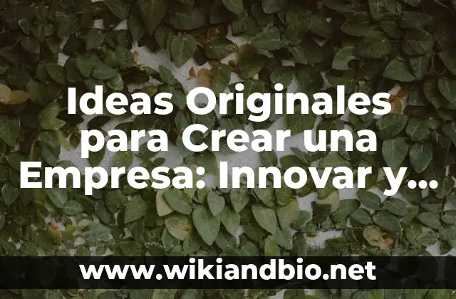 Ideas Originales para Crear una Empresa: Innovar y Triunfar en el Mundo Empresarial