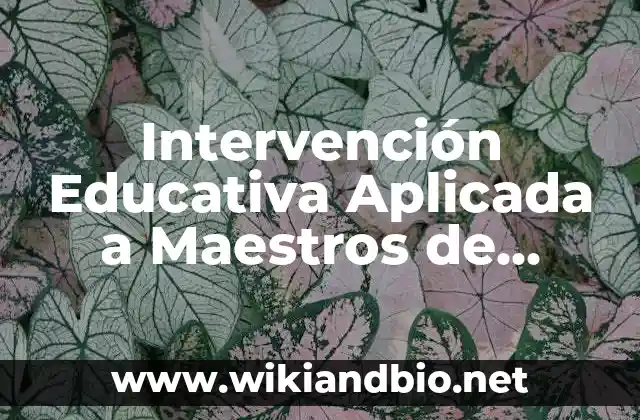 Intervención Educativa Aplicada a Maestros de Kinder: según Autor, Ejemplos, qué es, Concepto y Significado