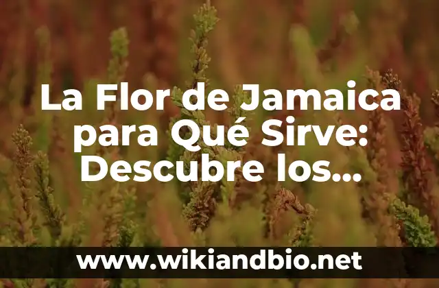 Propiedades Medicinales de la Flor de Jamaica