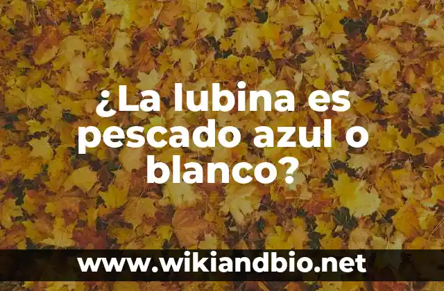 ¿La lubina es pescado azul o blanco?