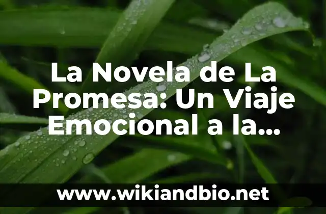 La Trama de La Novela de La Promesa