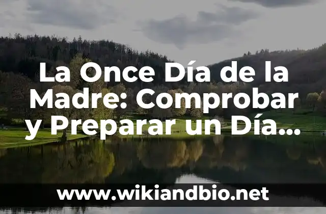 La Once Día de la Madre: Comprobar y Preparar un Día Especial