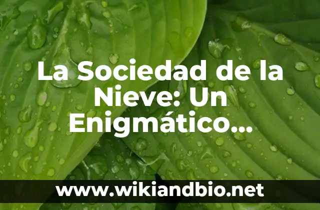 La Sociedad de la Nieve: Un Enigmático Misterio