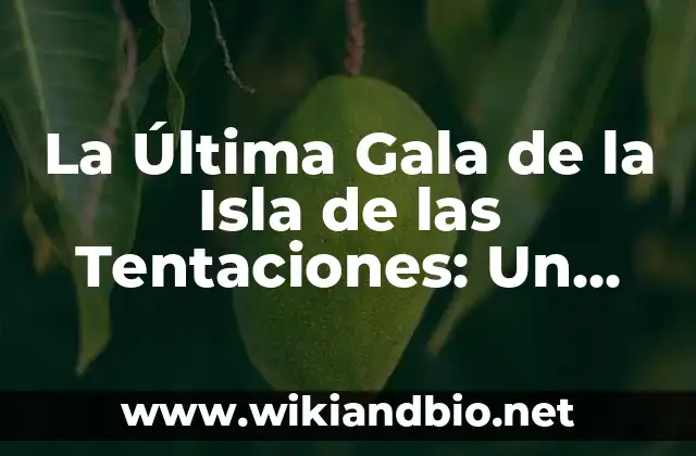 ¿Qué es la Isla de las Tentaciones y Cómo Funciona?