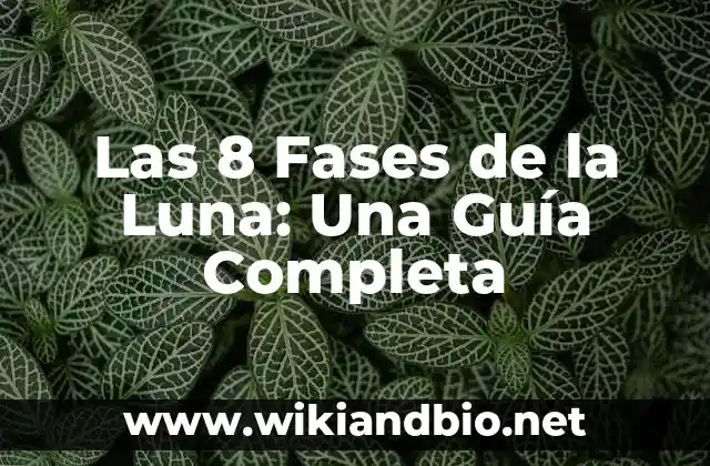 Las 8 Fases de la Luna: Una Guía Completa