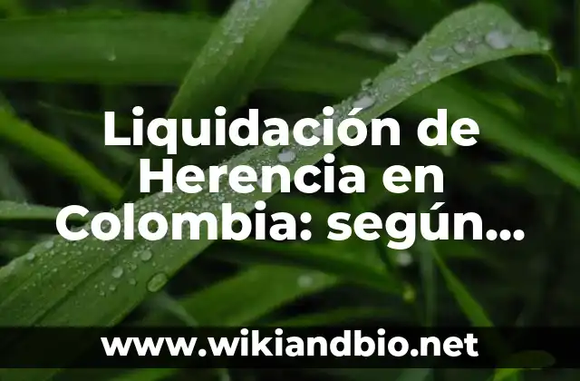 Ejemplos de liquidación de herencia