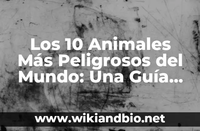 Los 10 Animales Más Peligrosos del Mundo: Una Guía Completa