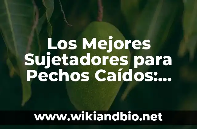 Los Mejores Sujetadores para Pechos Caídos: Guía Completa para Encontrar el Ajuste Perfecto