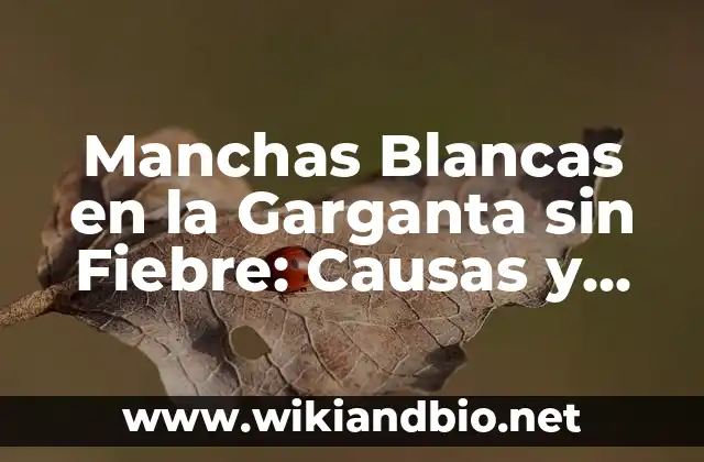 Manchas Blancas en la Garganta sin Fiebre: Causas y Tratamiento