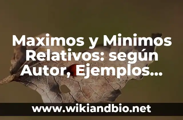 Maximos y Minimos Relativos: según Autor, Ejemplos, qué es, Concepto y Significado