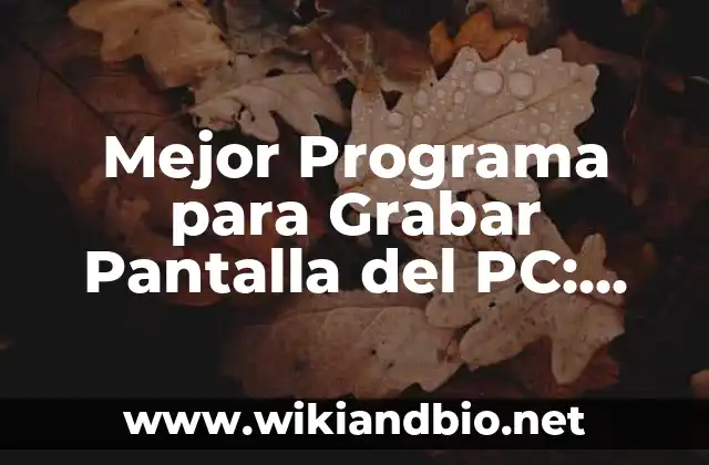 Mejor Programa para Grabar Pantalla del PC: Selección y Guía