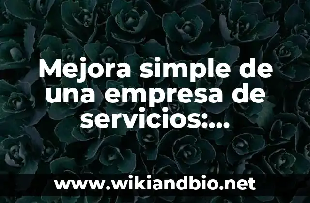 Mejora simple de una empresa de servicios: Definición según Autor, ¿qué es?