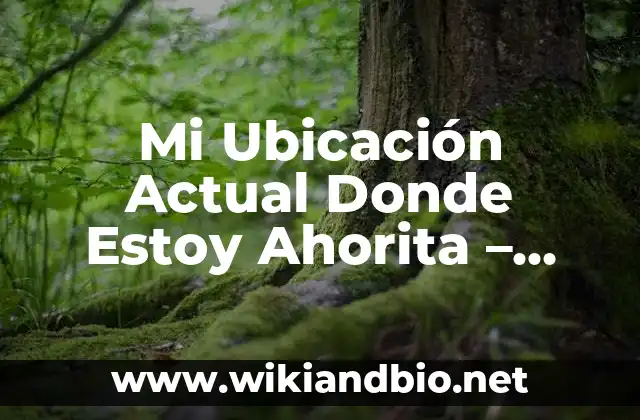 Mi Ubicación Actual Donde Estoy Ahorita – ¿Cómo saber dónde estás exactamente en este momento?