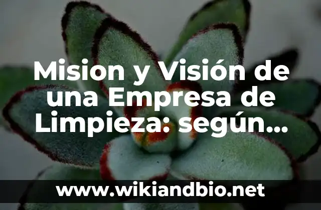 Mision y Visión de una Empresa de Limpieza: según Autor, Ejemplos, qué es, Concepto y Significado
