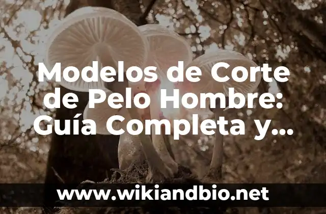 Modelos de Corte de Pelo Hombre: Guía Completa y Actualizada