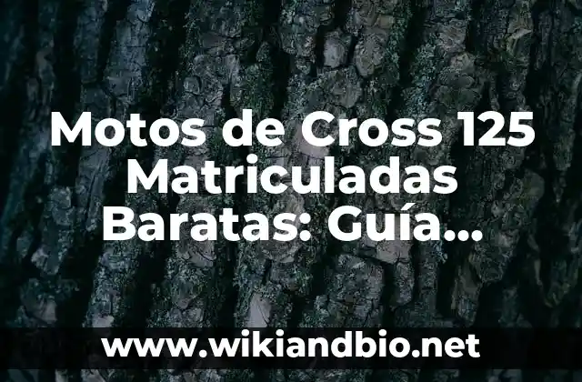 Motos de Cross 125 Matriculadas Baratas: Guía Completa para Principiantes
