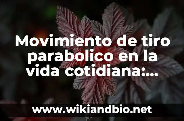Movimiento de tiro parabolico en la vida cotidiana: según Autor, Ejemplos, qué es, Concepto y Significado
