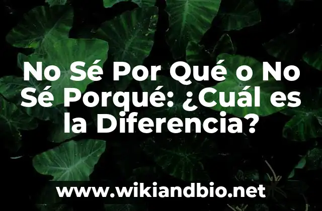 No Sé Por Qué o No Sé Porqué: ¿Cuál es la Diferencia?