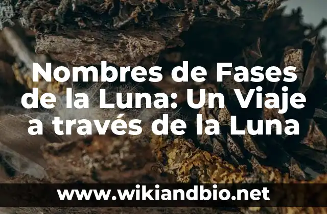 Nombres de Fases de la Luna: Un Viaje a través de la Luna