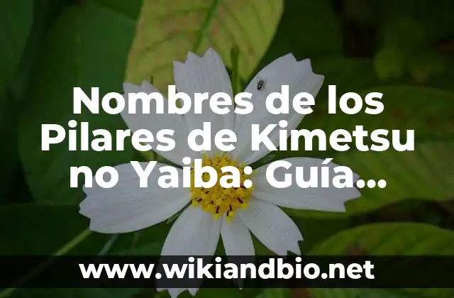 ¿Quiénes son los Pilares de Kimetsu no Yaiba?