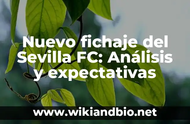 Nuevo fichaje del Sevilla FC: Análisis y expectativas