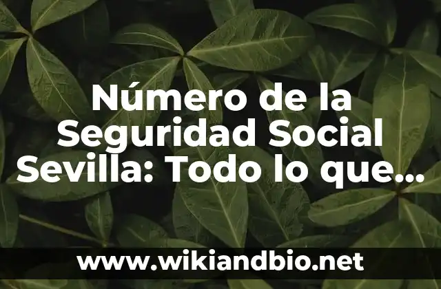 ¿Qué es el Número de la Seguridad Social?