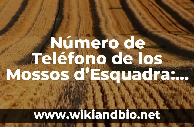 ¿Cuál es el Número de Teléfono de los Mossos d'Esquadra?