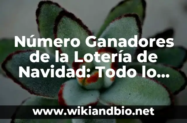 Número Ganadores de la Lotería de Navidad: Todo lo que Necesitas Saber