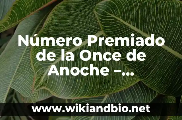 Número Premiado de la Once de Anoche – Resultados y Ganadores