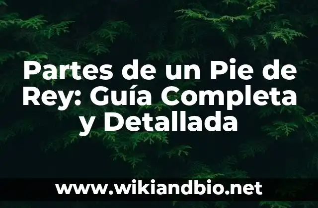 Partes de un Pie de Rey: Guía Completa y Detallada
