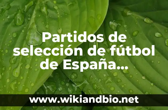 Partidos de selección de fútbol de España clasificatorio Euro – Todo lo que necesitas saber