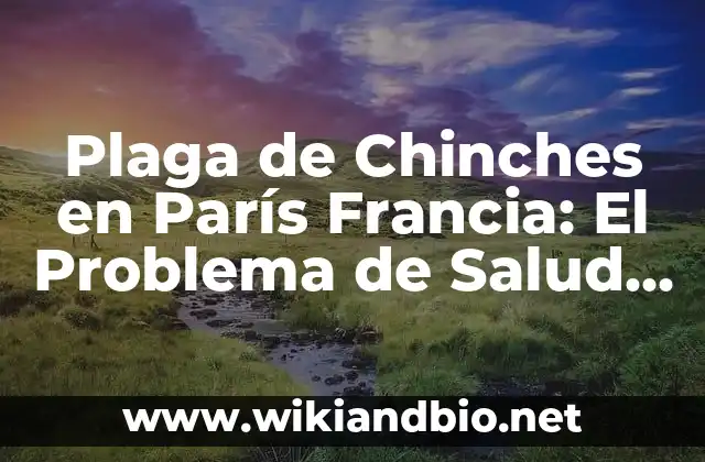 ¿Cuál es el Origen de la Plaga de Chinches en París Francia?
