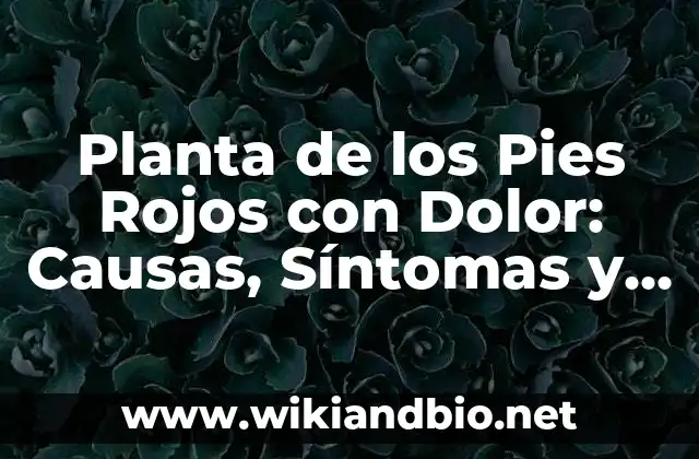 Causas de la Planta de los Pies Rojos con Dolor
