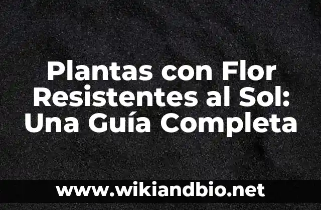 Ventajas de las Plantas con Flor Resistentes al Sol