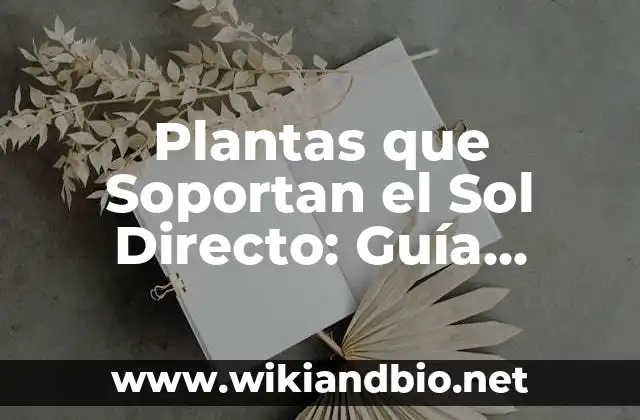 Características de las Plantas que Soportan el Sol Directo
