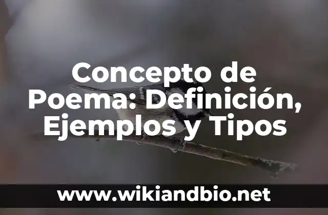 📗 Concepto de Poema