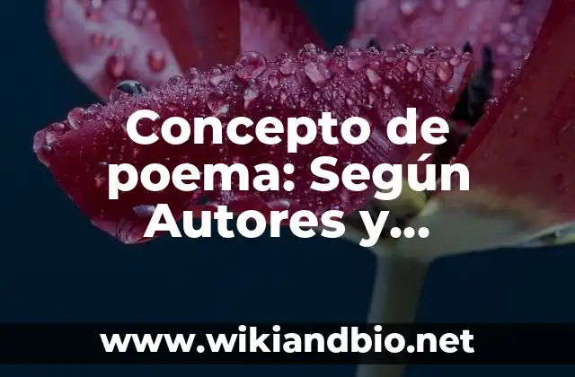 ✅ Concepto de poema