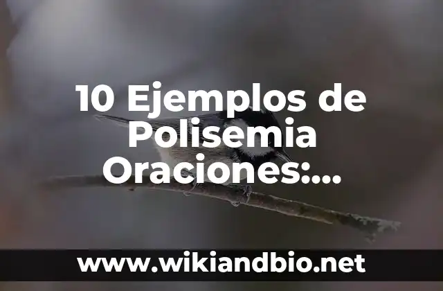 10 Ejemplos de Polisemia Oraciones: Definición, Que es, Diferencias, Significado y Usos
