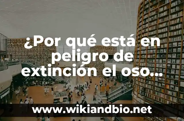 ¿Por qué está en peligro de extinción el oso panda?